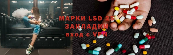 гашик Покров