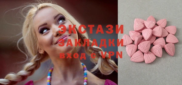 дмт Богородицк