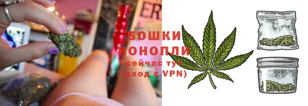 дмт Богородицк