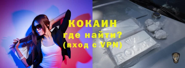 PSILOCYBIN Богданович