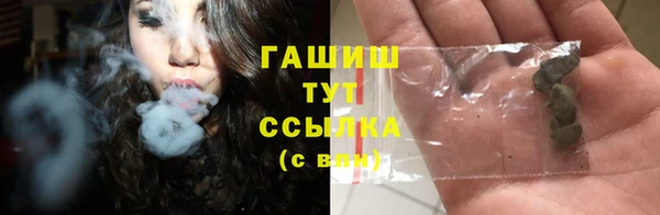 PSILOCYBIN Богданович