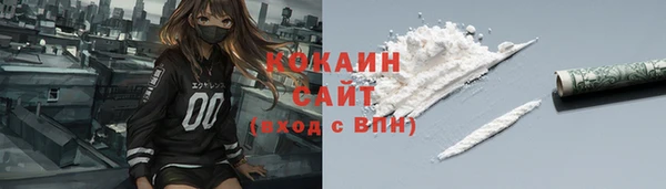 дмт Богородицк