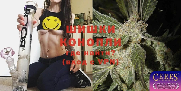 дмт Богородицк