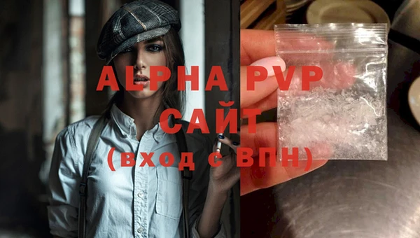 PSILOCYBIN Богданович