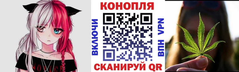 где найти   Колпашево  Бошки Шишки MAZAR 
